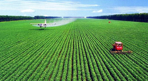 食品、農(nóng)業(yè)